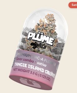 Plume eights tangle island gelato plum eights plume premium thc-a Flower plume 3.5g flower plume eights flower plume eights