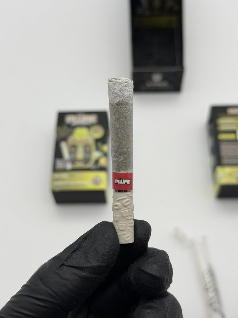 Plume Parlay juicebox